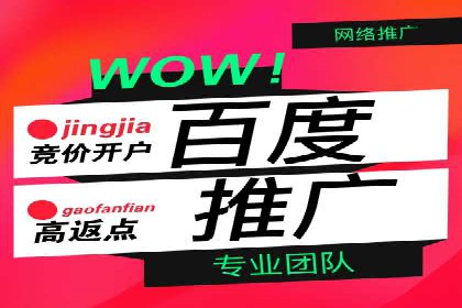 成功之道：竞价推广公司经典案例分析