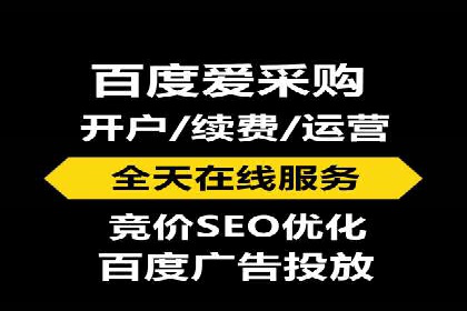 SEM广告投放策略：成功案例解析
